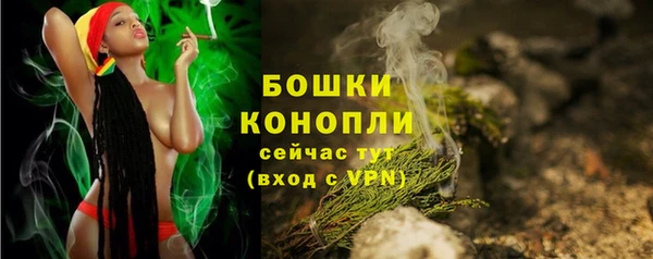 крисы Вязьма