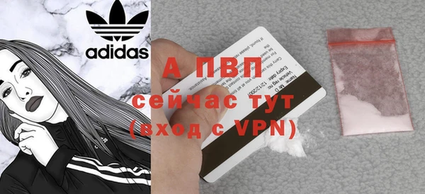 крисы Вязьма