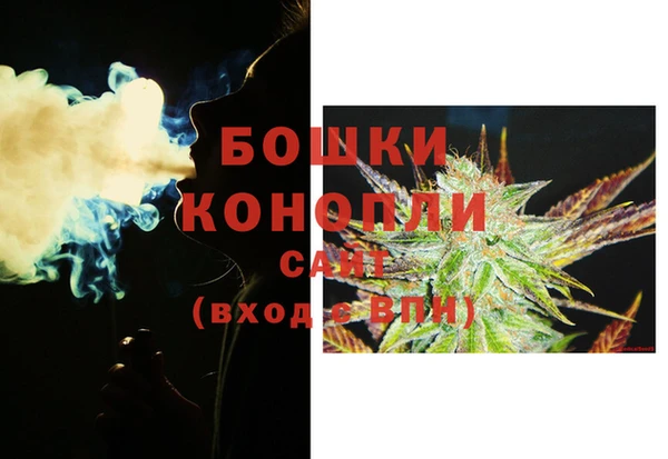 крисы Вязьма