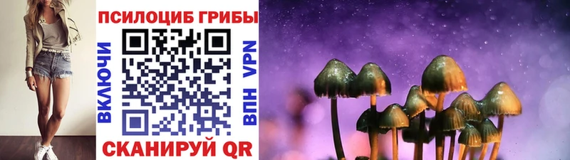 Галлюциногенные грибы Magic Shrooms Плёс